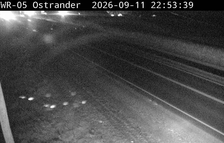 highway-19-near-ostrander-road-1789167815.jpg