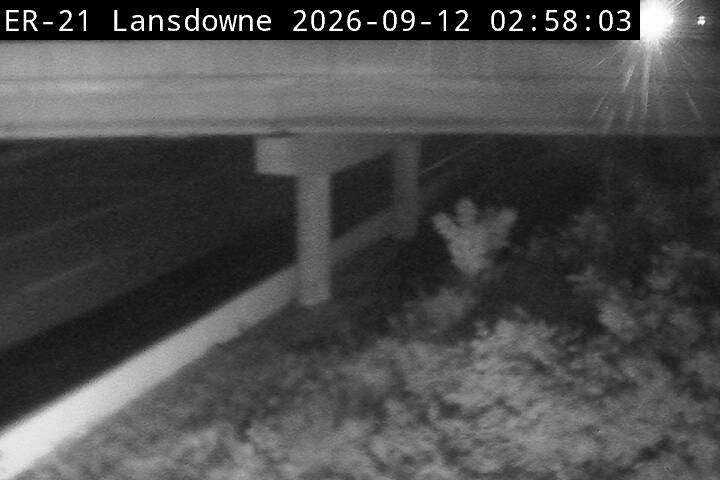 highway-401-at-reynolds-road-1789182300.jpg