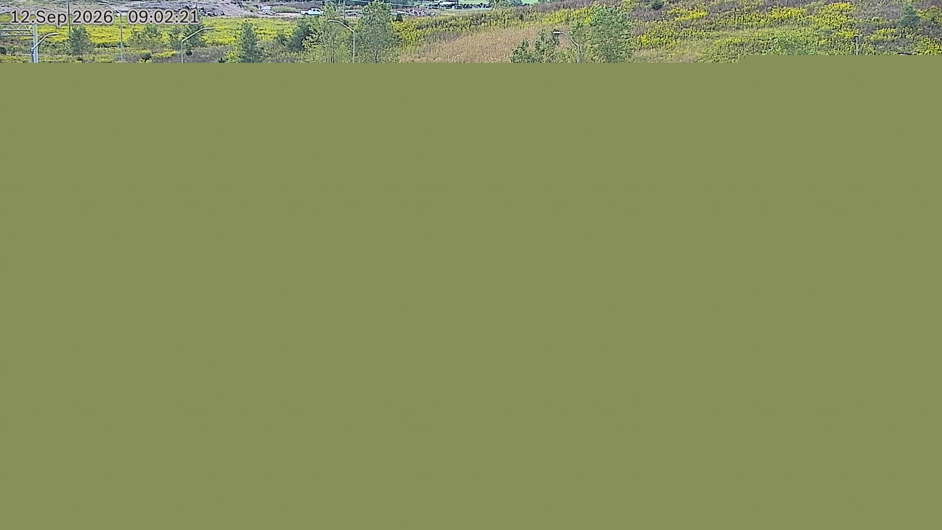 highway-401-near-highway-3-roundabout-1789203855.jpg