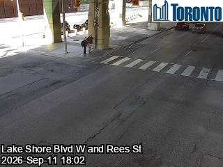 lake-shore-boulevard-near-rees-street-1789150106.jpg