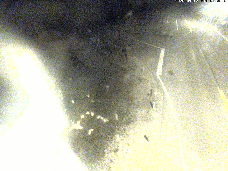 highway-17-at-highway-563-1789178587.jpg