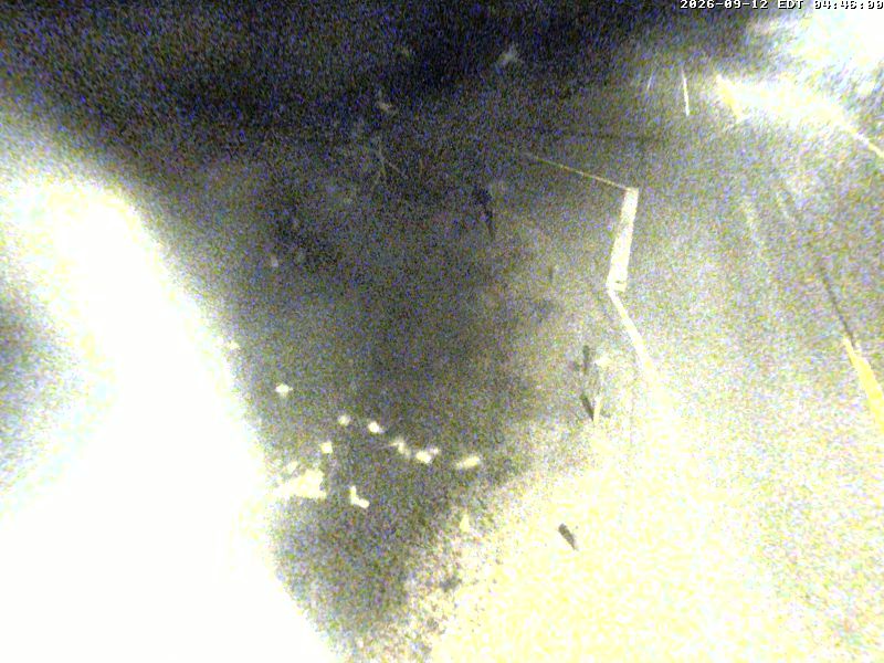 highway-17-at-highway-563-1789189396.jpg