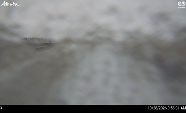 12:00 PM