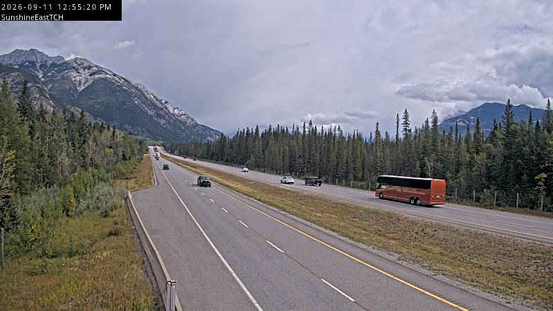 tch-sunshine-overpass-1789138816.jpg